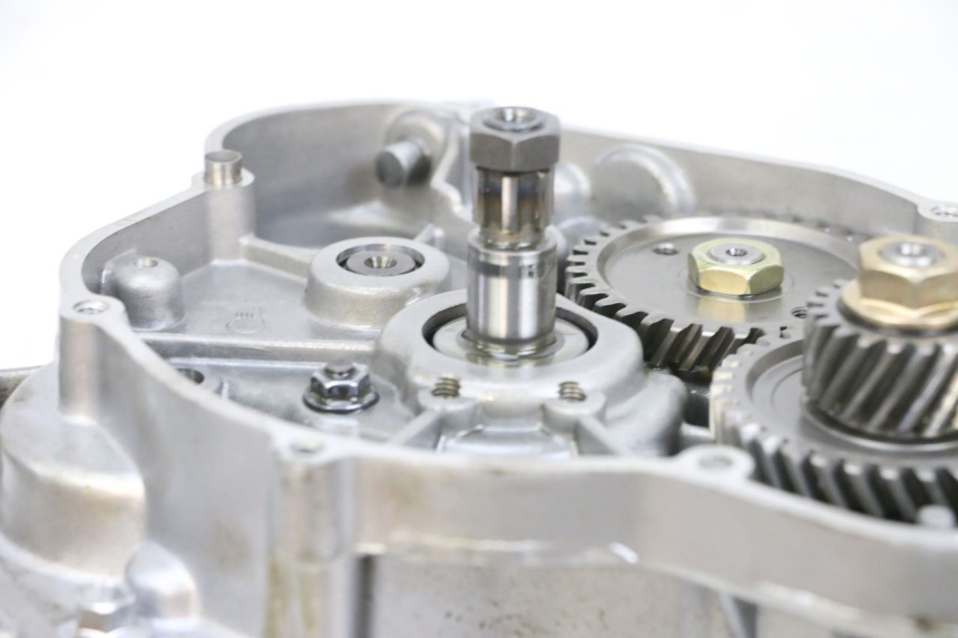 photo de ENGINE KSR TR SM 50 (2015 - 2018) - Alternative perspective