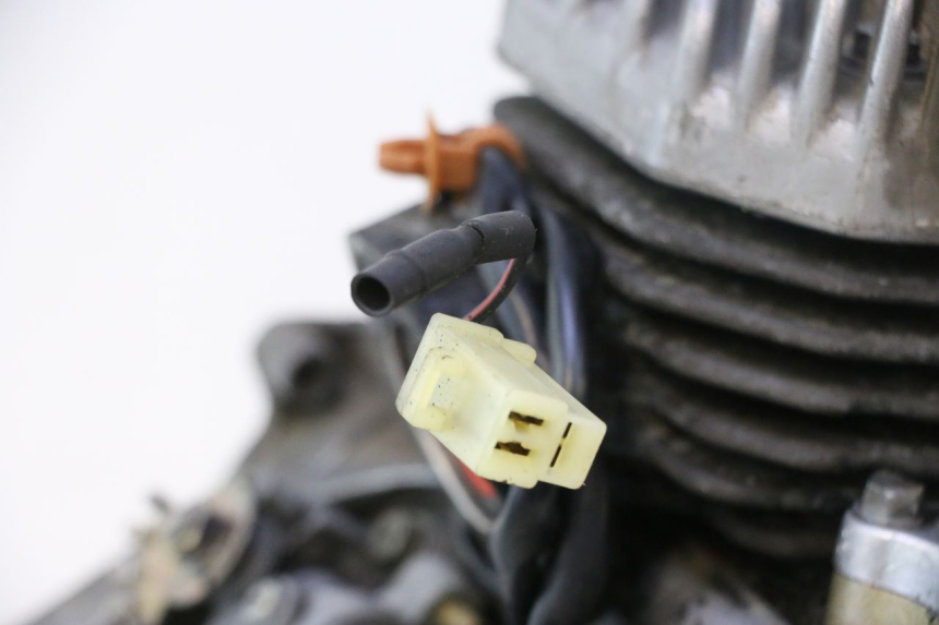 photo de ENGINE PEUGEOT TREKKER 50 (1995 - 2004) - Alternative perspective