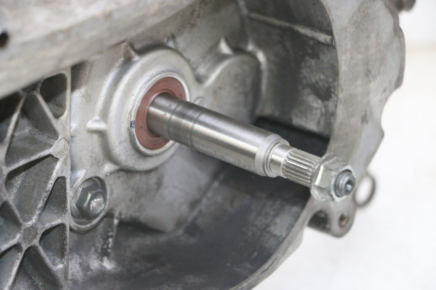 photo de ENGINE PEUGEOT TWEET 4T 50 (2014 - 2019) - Alternative angle