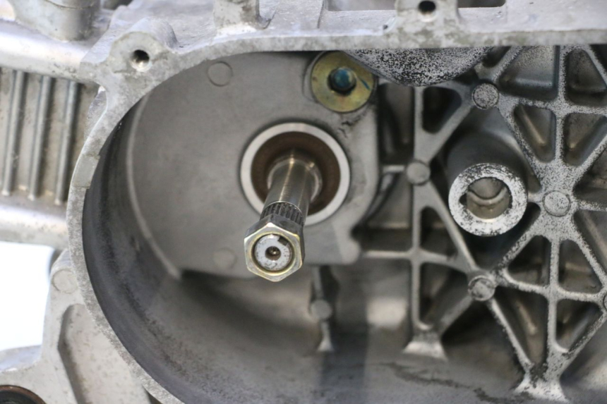 photo de ENGINE PEUGEOT TWEET 4T 50 (2018 - 2022) - Supplementary product photo