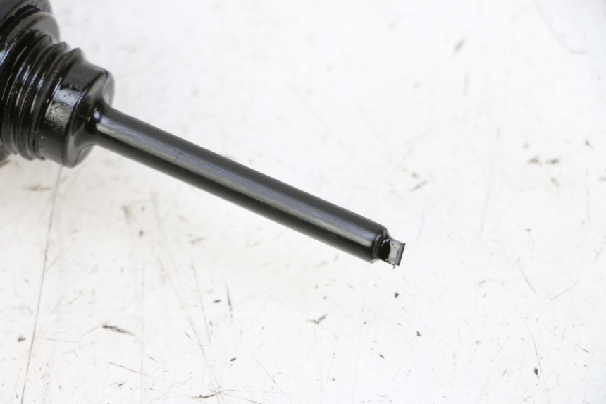 photo de ENGINE PEUGEOT TWEET PRO CARGO 50 (2018 - 2022) - Component detail