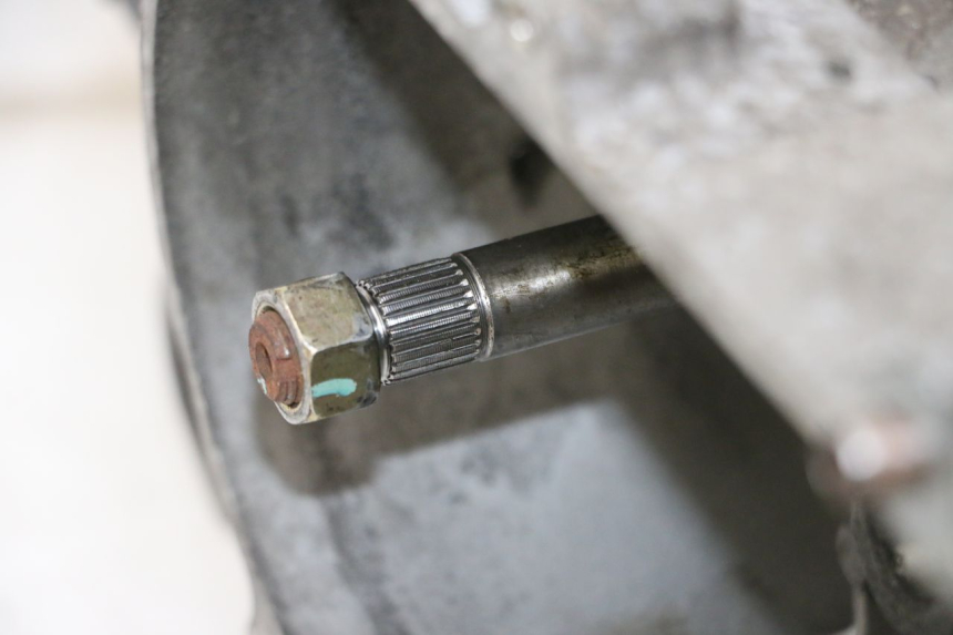 photo de ENGINE PEUGEOT TWEET PRO CARGO 50 (2018 - 2022) - Zoom on usage condition