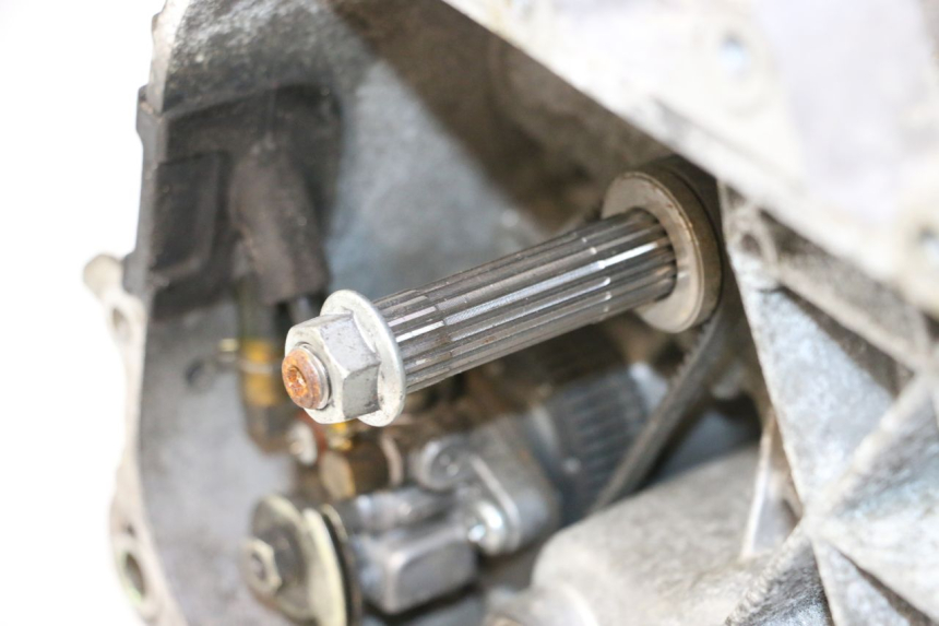 photo de ENGINE PIAGGIO TYPHOON 50 (2000 - 2009) - Component detail