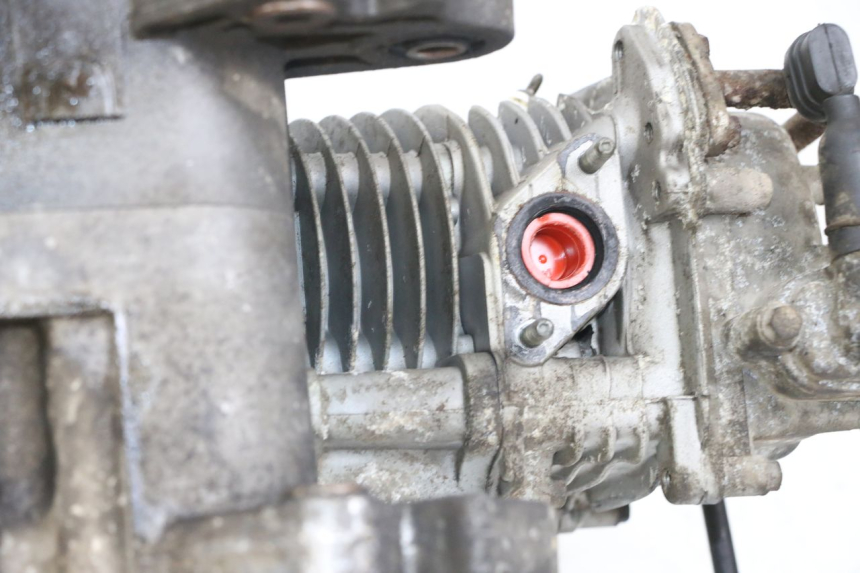 photo de ENGINE BEELINE VELOCE 4T 50 (2011 - 2020) - Component detail