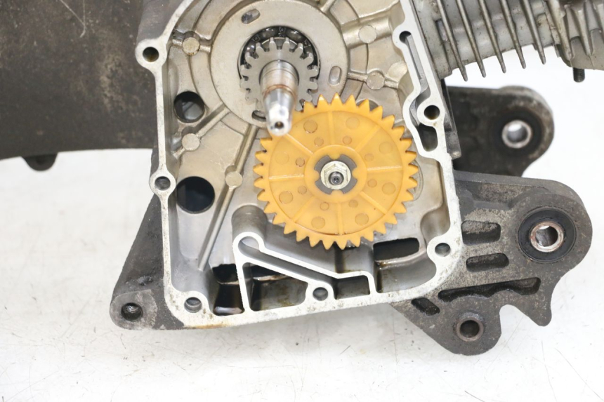 photo de ENGINE BEELINE VELOCE 4T 50 (2011 - 2020) - Surface and material condition