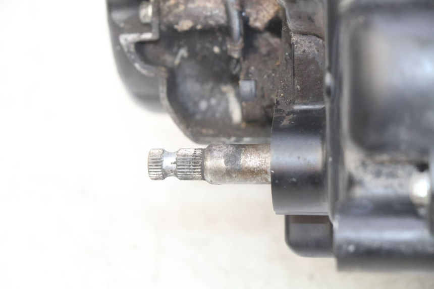 photo de ENGINE DAELIM VL DAYSTAR 125 (2000 - 2011) - Additional view of the item