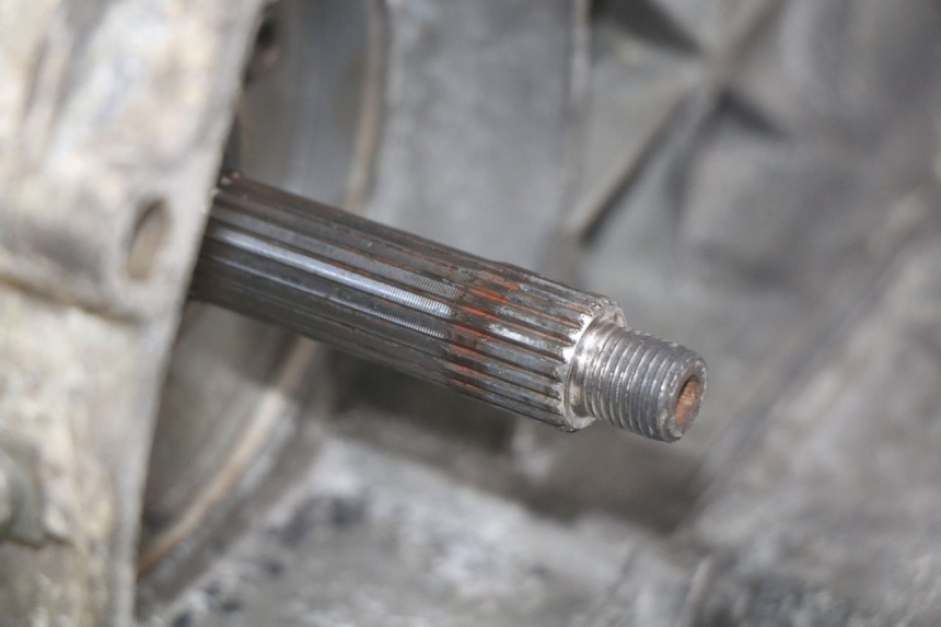 photo de ENGINE PIAGGIO X9 125 (2000 - 2003) - High-resolution close-up