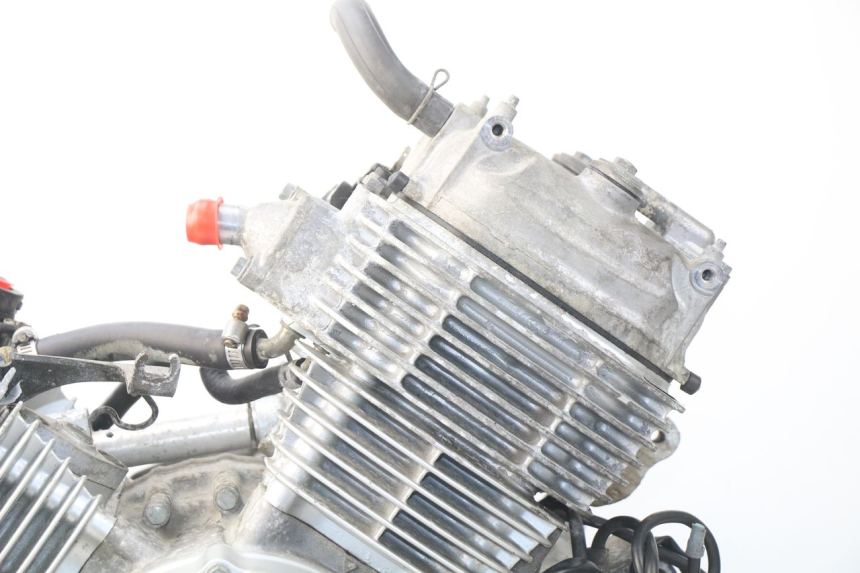 photo de ENGINE HONDA XLV VARADERO 125 (2000 - 2006) - Checked used part