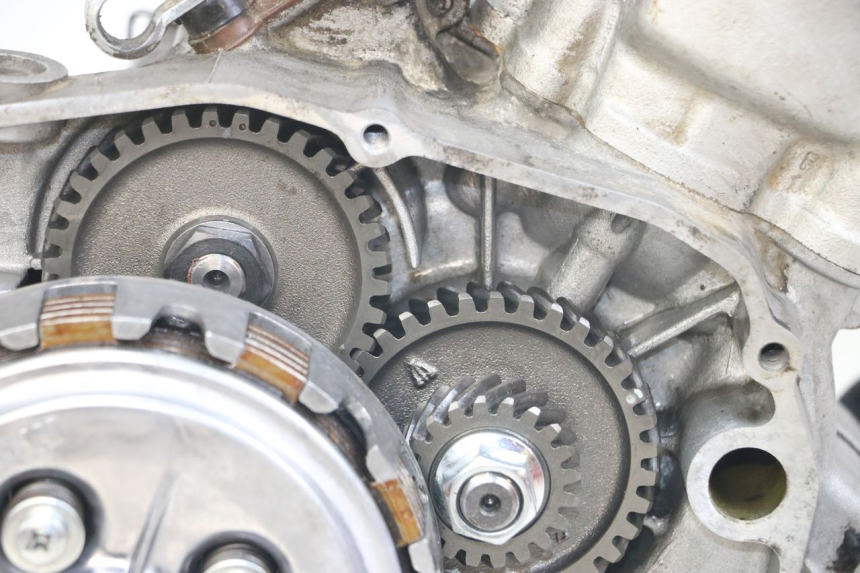 photo de ENGINE FANTIC XM PERFORMANCE 2T 50 (2021 - 2022) - Alternative angle