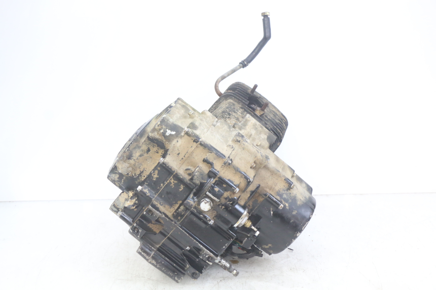 photo de ENGINE SHINERAY XY250 STXE 250 (2006 - 2012) - High-resolution close-up