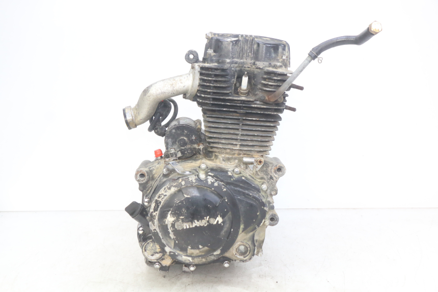 photo de ENGINE SHINERAY XY250 STXE 250 (2006 - 2012) - Checked used part
