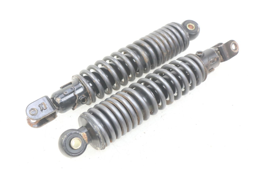 photo de REAR SHOCK ABSORBER PAIR ECCITY ARTELEC 670 1 (2013 - 2017) - Alternative perspective
