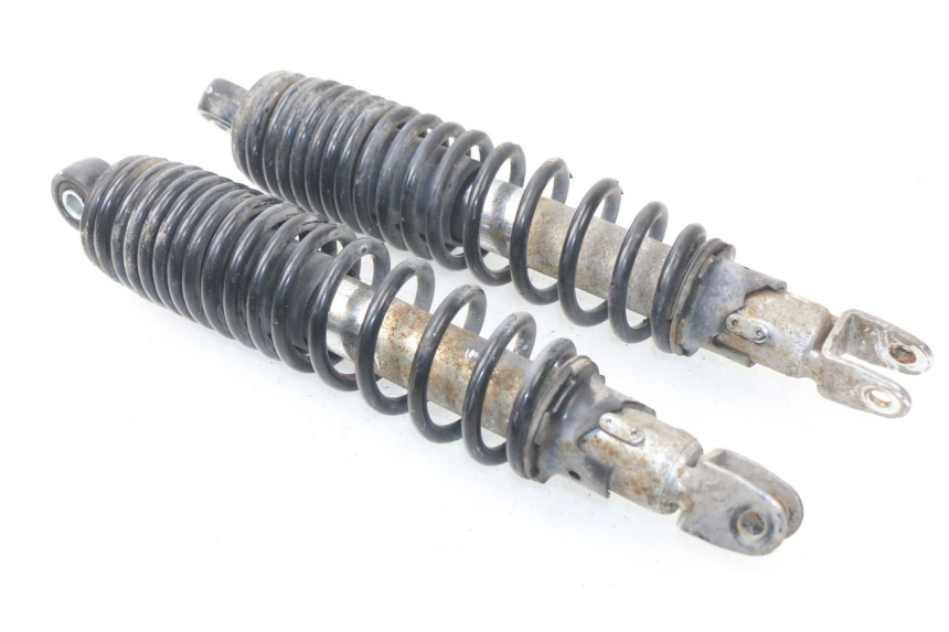 photo de REAR SHOCK ABSORBER ERIDER CARGO 1 (2009 - 2018) - Main view