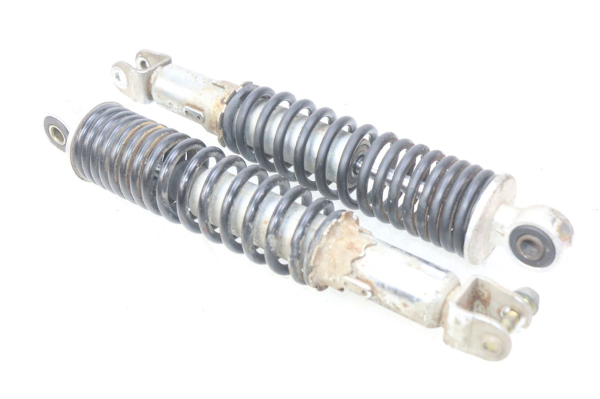 photo de REAR SHOCK ABSORBER PAIR EUROCKA VIRTUALITY GT 4T 50 (2011 - 2017) - Main view