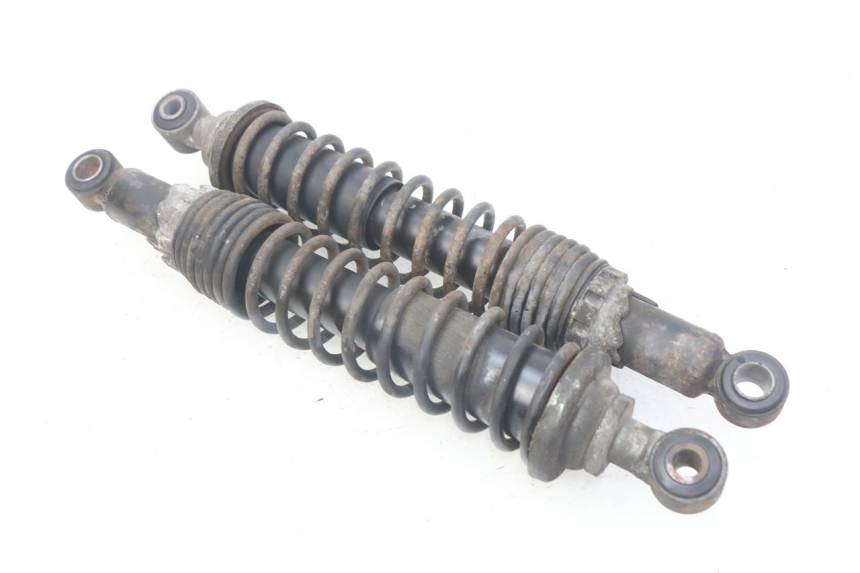 photo de REAR SHOCK ABSORBER PAIR PIAGGIO X9 EVOLUTION 125 (2003 - 2007) - Main view