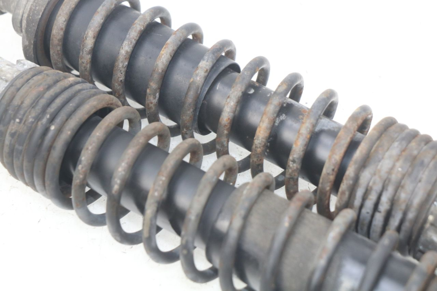 photo de REAR SHOCK ABSORBER PAIR PIAGGIO X9 EVOLUTION 125 (2003 - 2007) - Product overview