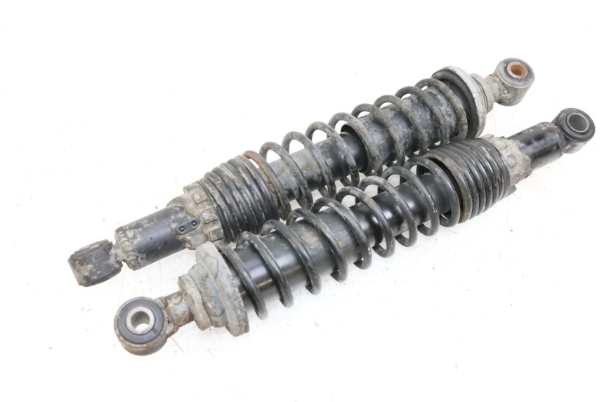 photo de REAR SHOCK ABSORBER PAIR PIAGGIO X9 125 (2000 - 2003) - Main view