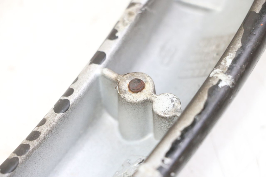 photo de REAR HANDLEBAR PEUGEOT CITYSTAR 50 (2013 - 2017) - Zoom on usage condition