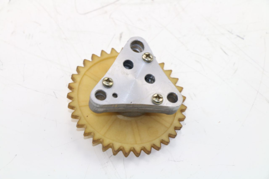 photo de OIL PUMP BAOTIAN BT 49 QT-9 50 (2006 - 2010) - Zoom on usage condition