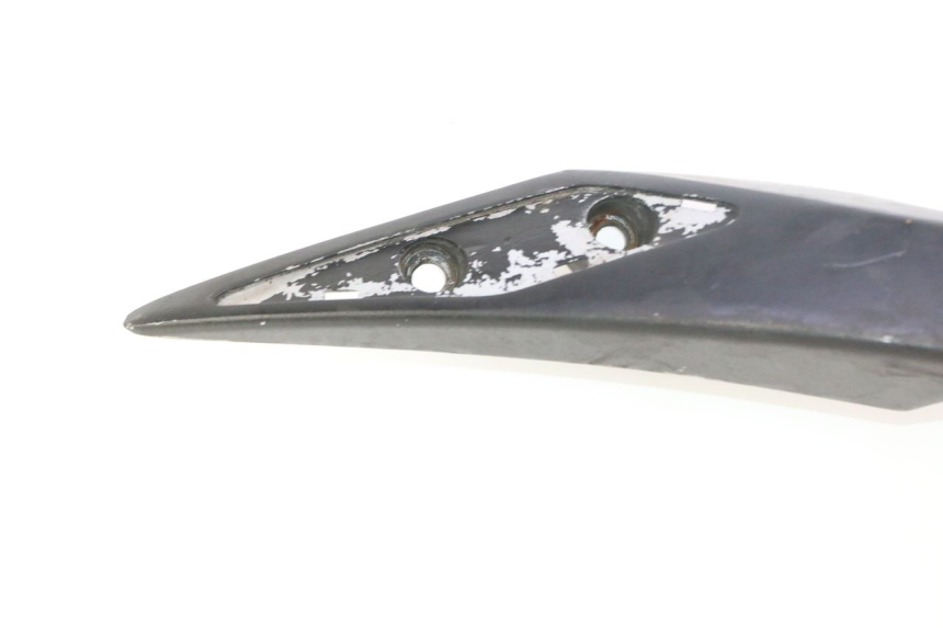 photo de LUGGAGE RACK PEUGEOT SATELIS 125 (2006 - 2009) - Alternative perspective
