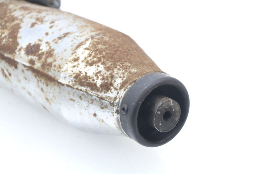 photo de EXHAUST RAZZO CITY 50 (2009 - 2014) - Zoom on usage condition