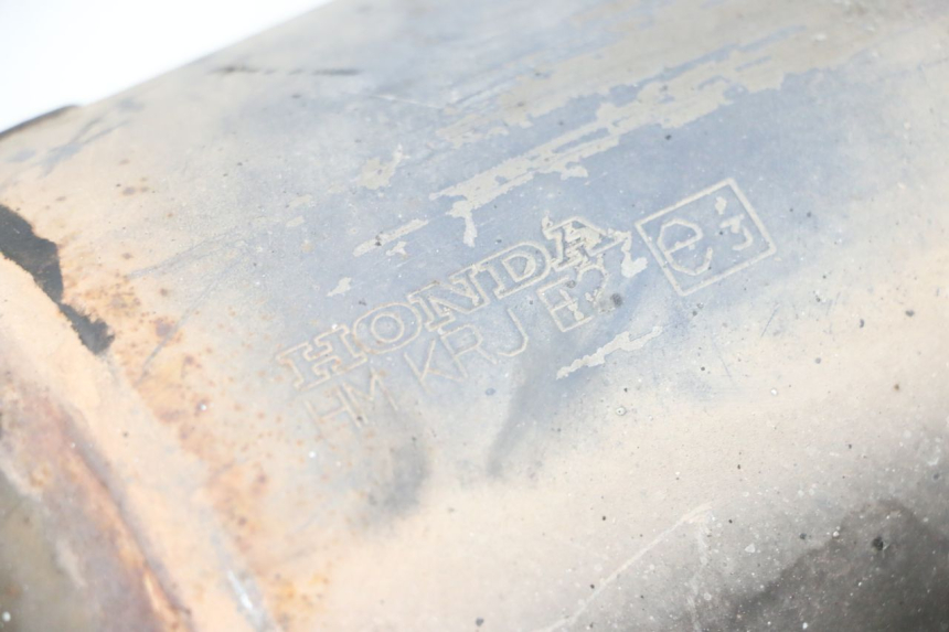 photo de EXHAUST PIPE HONDA FES S-WING SWING ABS 125 (2007 - 2015) - Zoom on usage condition