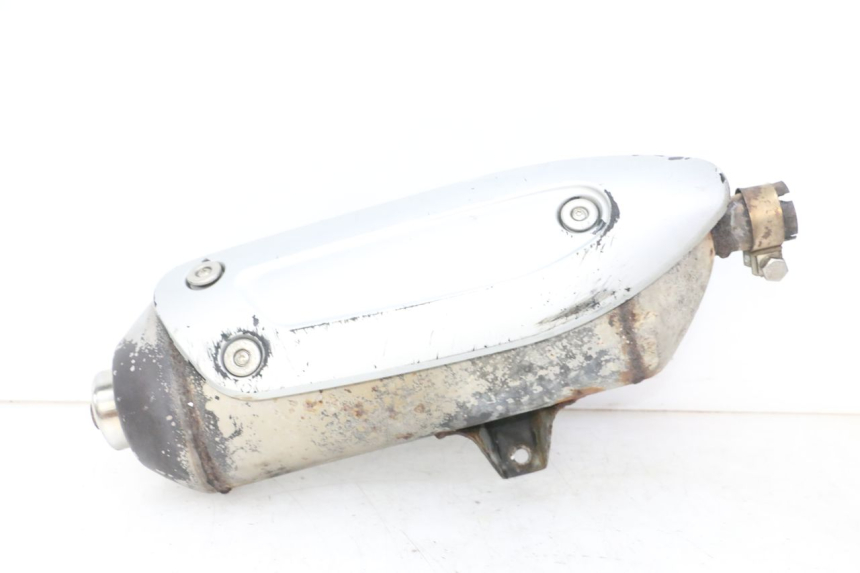 photo de EXHAUST PIAGGIO MP3 RL 250 (2006 - 2010) - Main view