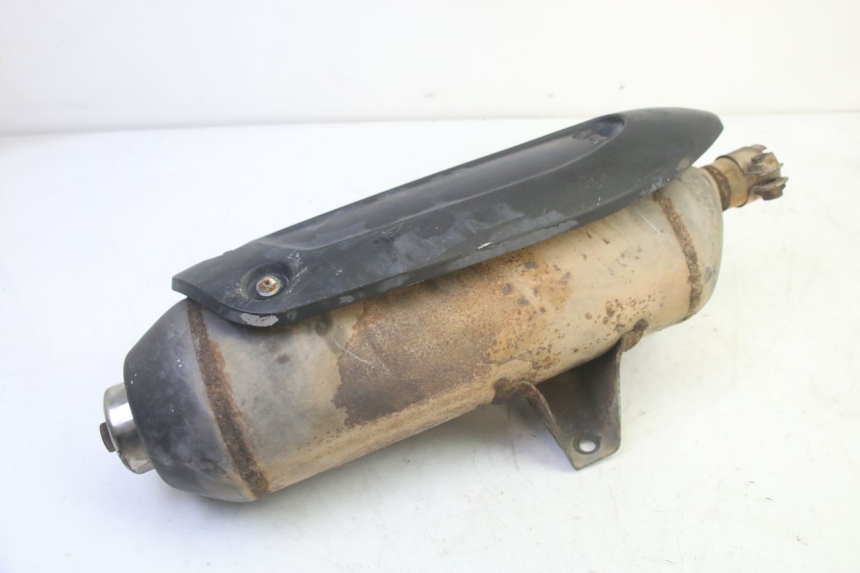 photo de EXHAUST PIAGGIO MP3 RL 250 (2006 - 2010) - Zoom on usage condition