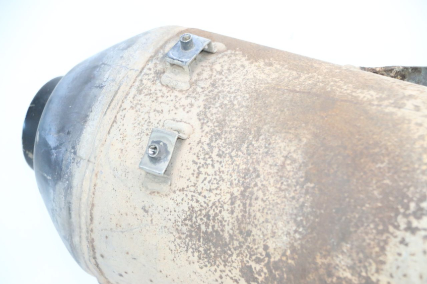 photo de EXHAUST PIAGGIO MP3 RL 250 (2006 - 2010) - Main view