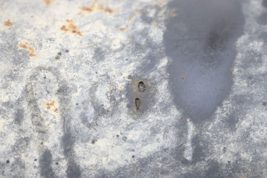 photo de EXHAUST PIPE TNT MOTOR ROMA 10' 4T 50 (2007 - 2018) - Alternative perspective