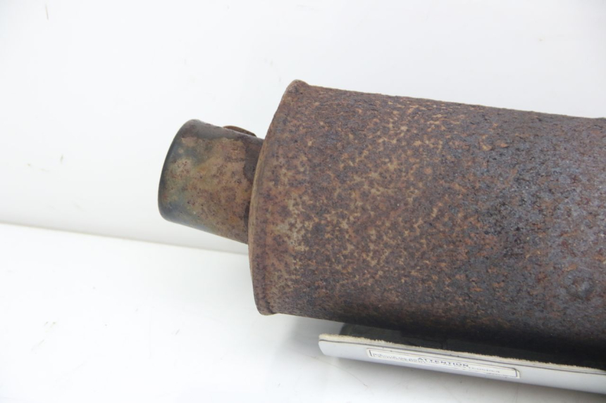 photo de EXHAUST TNT MOTOR ROMA 12' 2T 50 (2007 - 2018) - High-resolution close-up