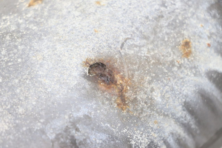 photo de EXHAUST PIPE YAMAHA YP MAJESTY 125 (2007 - 2010) - Alternative perspective