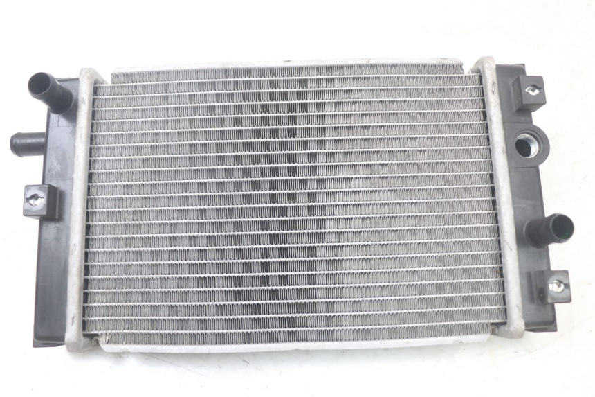 photo de RADIATOR QUADRO 3D S 350 (2013 - 2018) - Main view