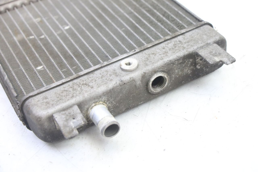 photo de RADIATOR SUZUKI BURGMAN 125 (2007 - 2014) - Alternative perspective