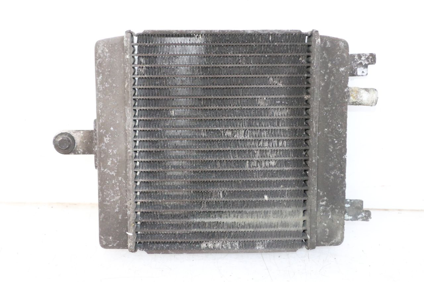 photo de RADIATOR SUZUKI BURGMAN 125 (2007 - 2014) - Component detail