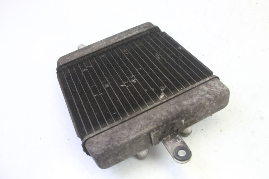 photo de RADIATOR SUZUKI BURGMAN 125 (2007 - 2014) - Checked used part