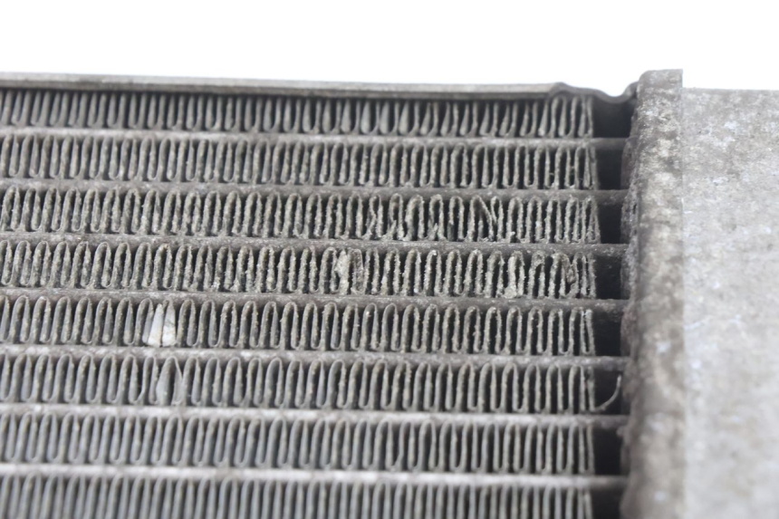 photo de RADIATOR SUZUKI BURGMAN 125 (2007 - 2014) - Alternative perspective