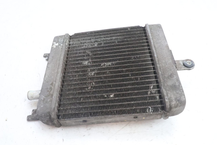 photo de RADIATOR SUZUKI BURGMAN 125 (2007 - 2014) - Checked used part