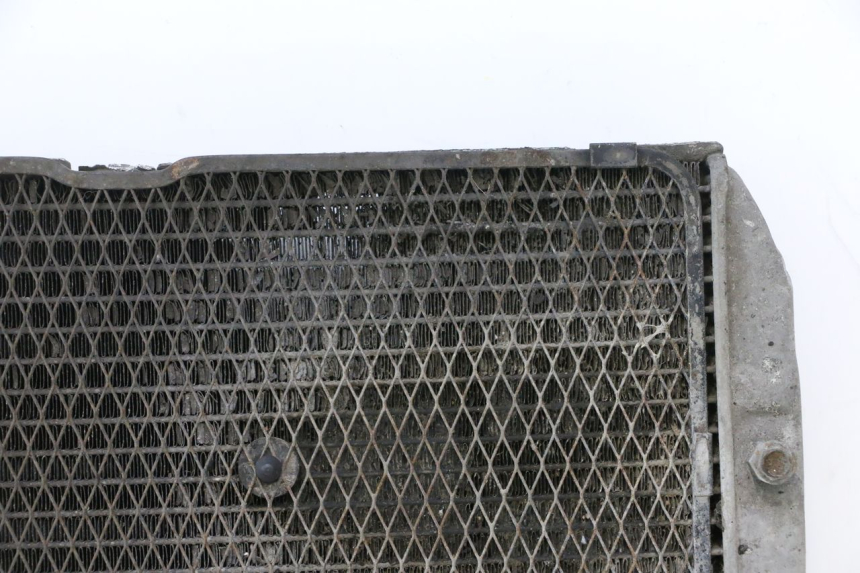 photo de COOLANT RADIATOR SUZUKI BURGMAN EXECUTIVE ABS 650 (2006 - 2012) - Detailed visual inspection