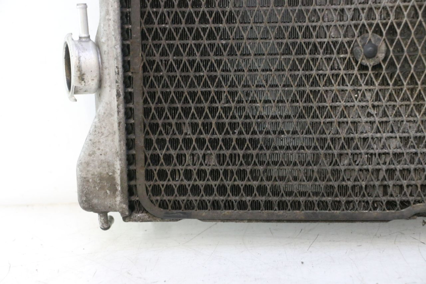 photo de COOLANT RADIATOR SUZUKI BURGMAN EXECUTIVE ABS 650 (2006 - 2012) - Alternative angle