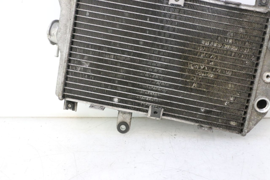 photo de COOLANT RADIATOR SUZUKI BURGMAN EXECUTIVE ABS 650 (2006 - 2012) - Checked used part