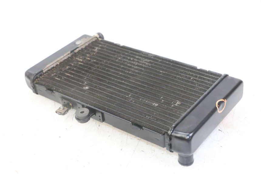 photo de COOLANT RADIATOR HONDA CBF 500 (2004 - 2007) - Alternative perspective