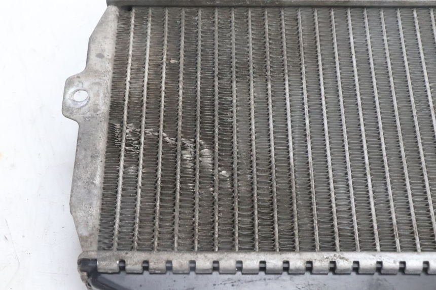 photo de RADIATOR PEUGEOT CITYSTAR 125 (2011 - 2017) - Zoom on usage condition
