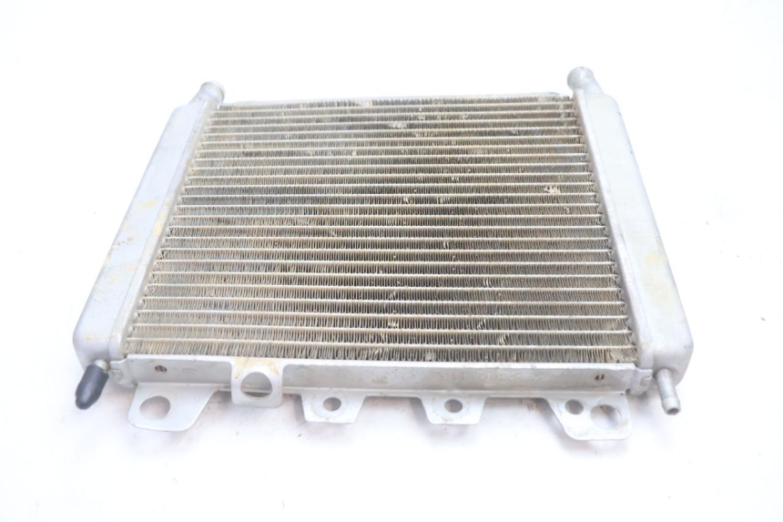 photo de RIGHT COOLANT RADIATOR BOOM TRIKE FUN 500 (2004 - 2010) - Surface and material condition