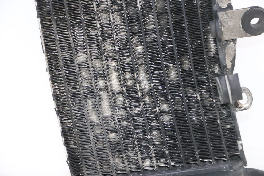 photo de RIGHT COOLANT RADIATOR HONDA XRV AFRICA TWIN 750 (1990 - 1992) - Component detail