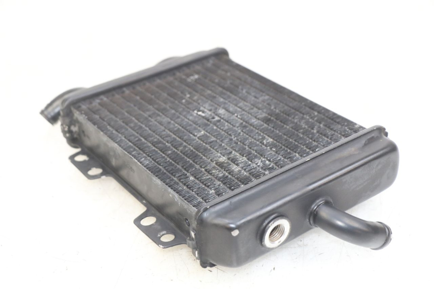 photo de RADIATOR PEUGEOT ELYSEO 125 (1999 - 2004) - Zoom on usage condition