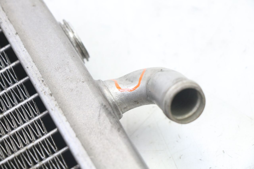 photo de RADIATOR PEUGEOT ELYSEO 125 (1999 - 2004) - Alternative perspective