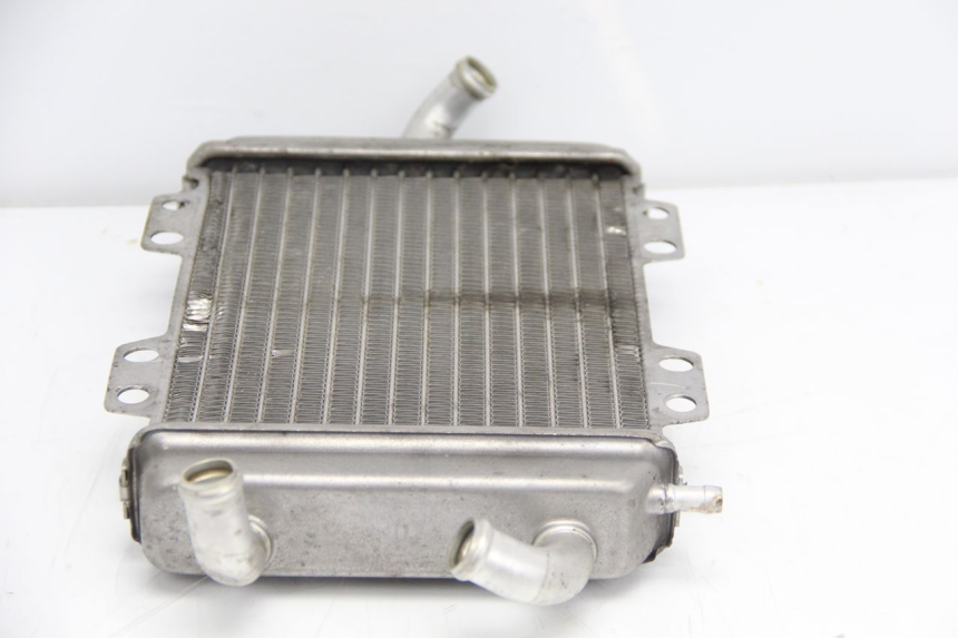 photo de COOLANT RADIATOR PEUGEOT ELYSTAR 125 (2002 - 2007) - Zoom on usage condition
