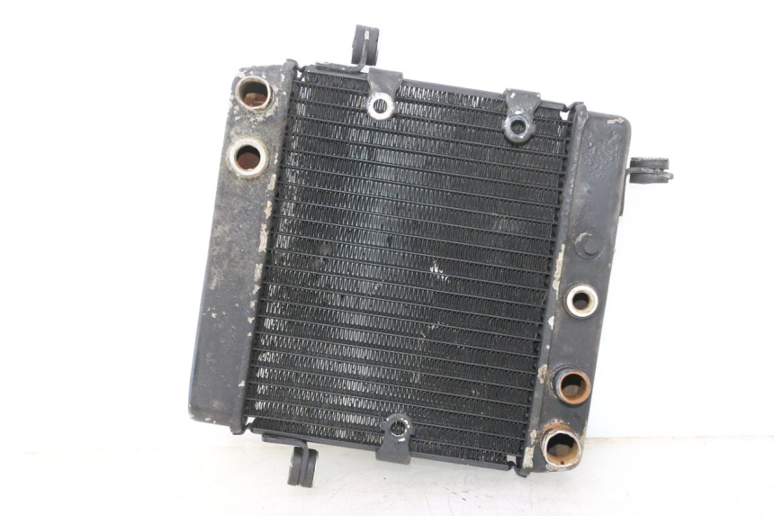 photo de RADIATOR HONDA FES PANTHEON 2T 125 (1998 - 2002) - Main view
