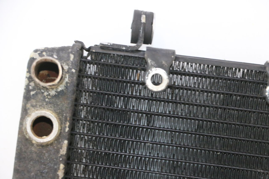 photo de RADIATOR HONDA FES PANTHEON 2T 125 (1998 - 2002) - Additional view of the item